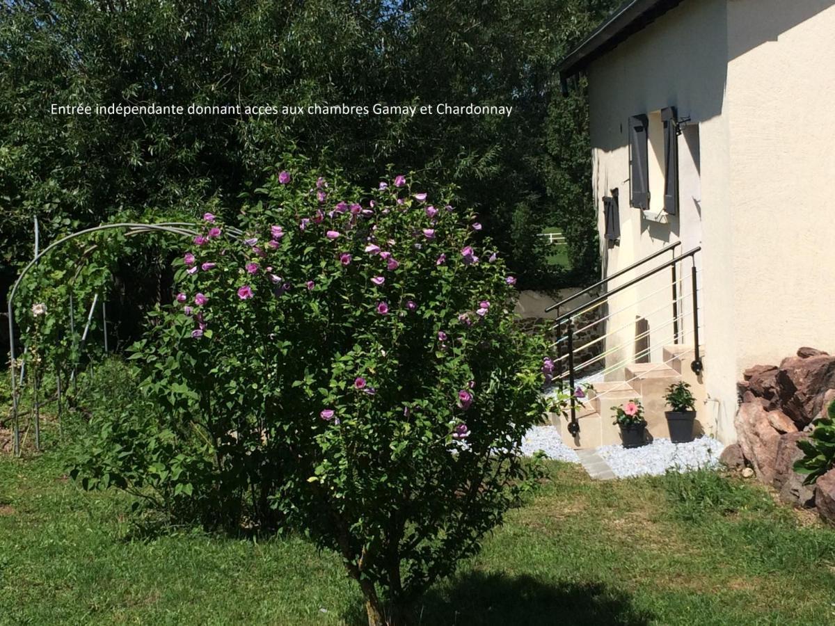 Bed and Breakfast Le Grain De Louise Lancié Zewnętrze zdjęcie